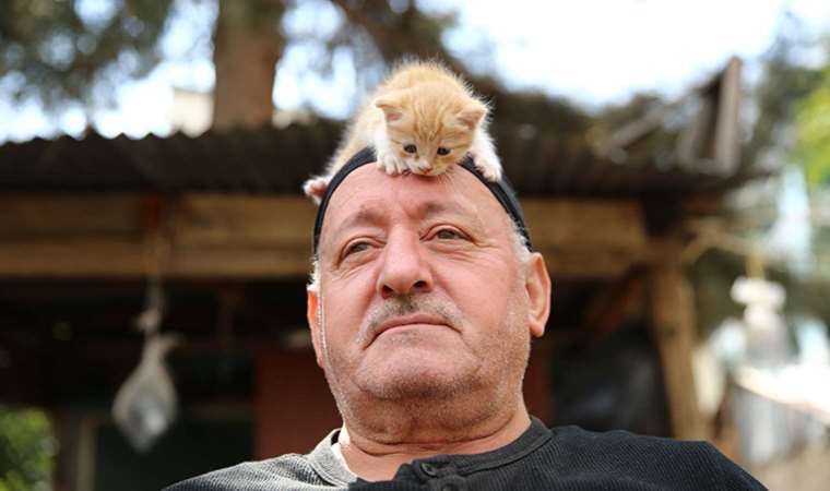 Kedi sevgisi müteahhitlerin tekliflerine ‘dur’ dedirtti