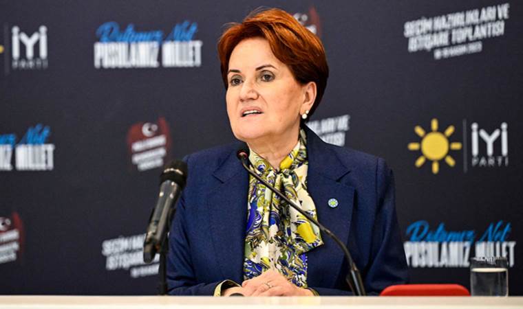 Polis müdürlerini işaret etmişti: Meral Akşener’in ‘fuhuş’ iddiası yargıya taşındı