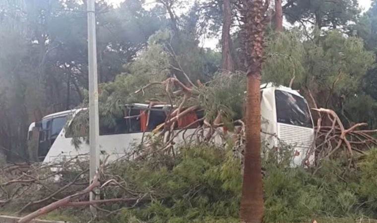 Otel servisinin üzerine ağaç devrildi… 7 kişi yaralandı