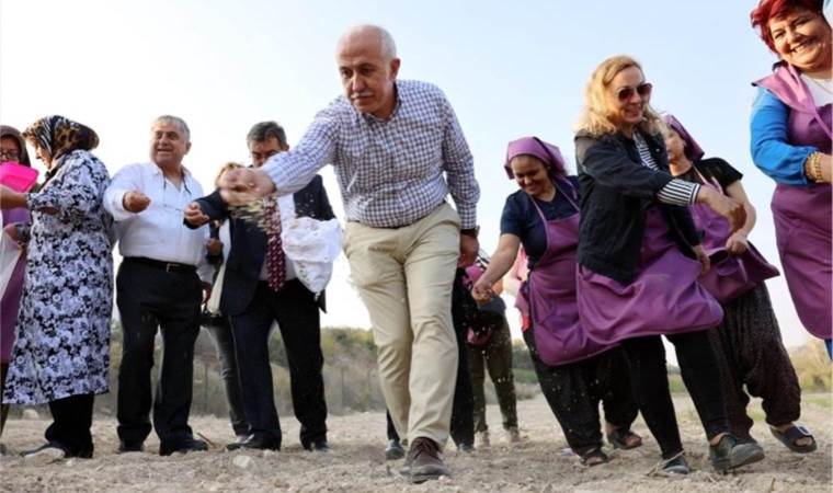 Akdeniz’de ekim zamanı: Gambilya, organik ıspanak ve şevketi bostan…