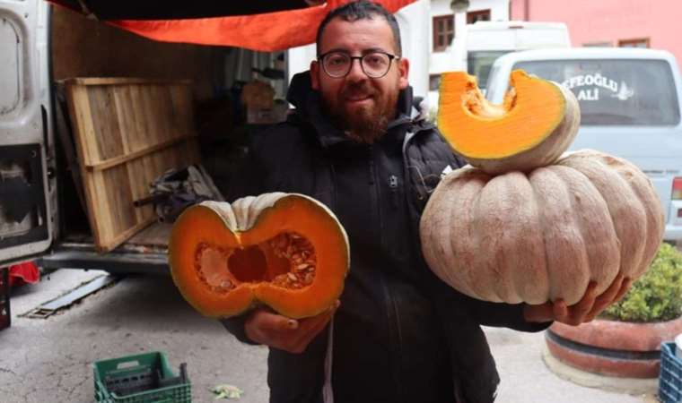 Semt pazarlarının gözdesi! Tarladan tezgaha yolculuk başladı… Çekirdeği tüm hastalıklara karşı önlem