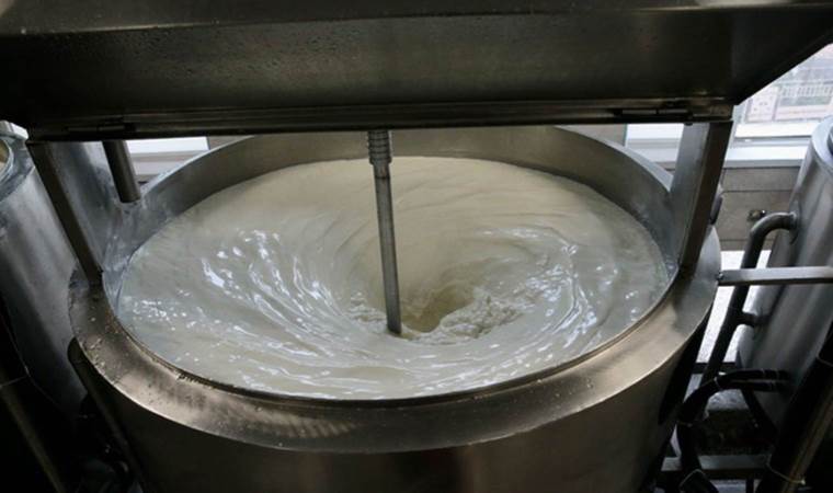 Mengen’in coğrafi işaretli peyniri ününü yaymaya hazırlanıyor