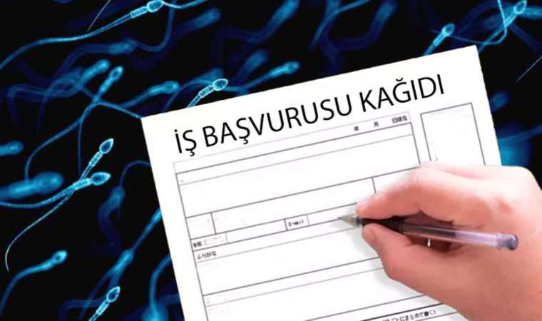 CV’ye bakan yönetici gözlerine inanamadı: Sperm sayısını yazmış