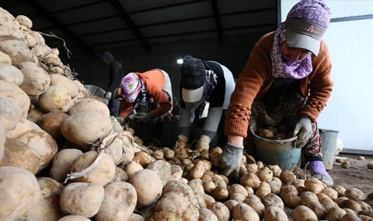 Çiftçi isyanda… ‘Üreticilik bitti!’