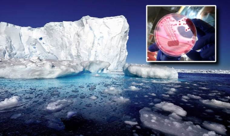 650 bin yıldır gizli olan virüs tüm insanlı tehdit ediyor