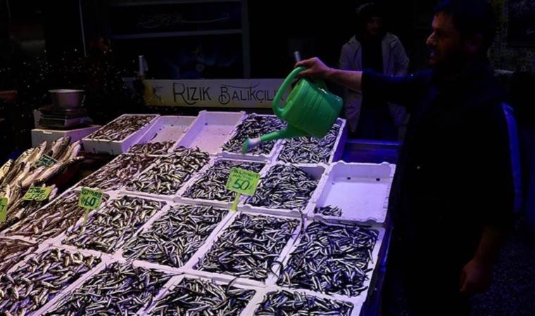 Trabzon’da balık fiyatları sevindirdi! İşte istavritin, mezgitin, levrek ve çipuranın fiyatları