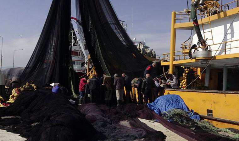 Dünya Balıkçılar Günü ne zaman? 21 Kasım Dünya Balıkçılar Günü tarihçesi ne?