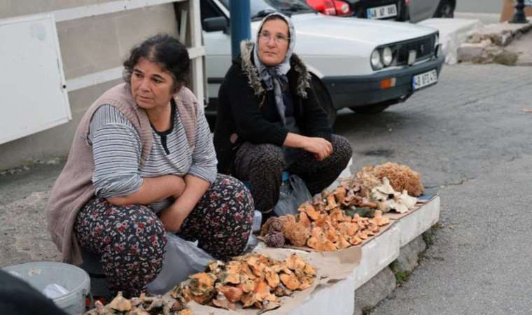 Bulması da toplaması da zor: Kilosu 150 lira