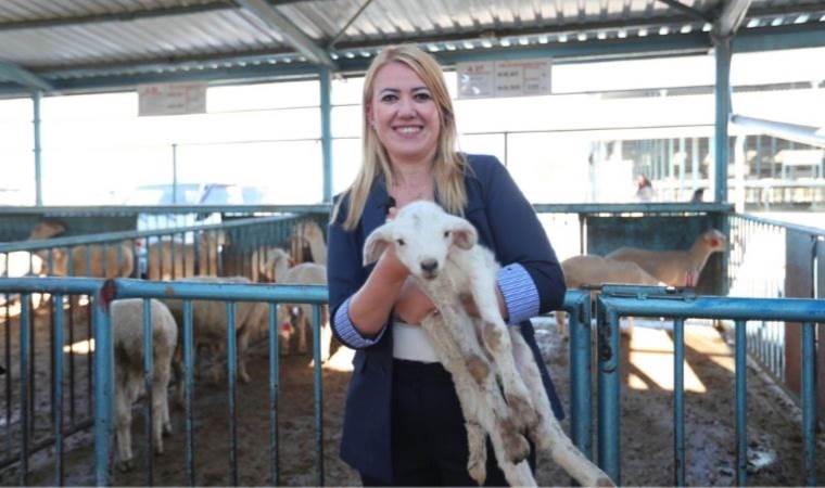 Merkezefendi Belediyesi’nden kadın üreticilere destek