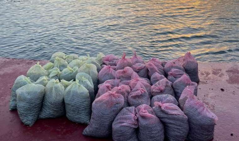 Kadıköy’de 1 ton kaçak midye yakalandı: Tekne ruhsatsız çıktı!