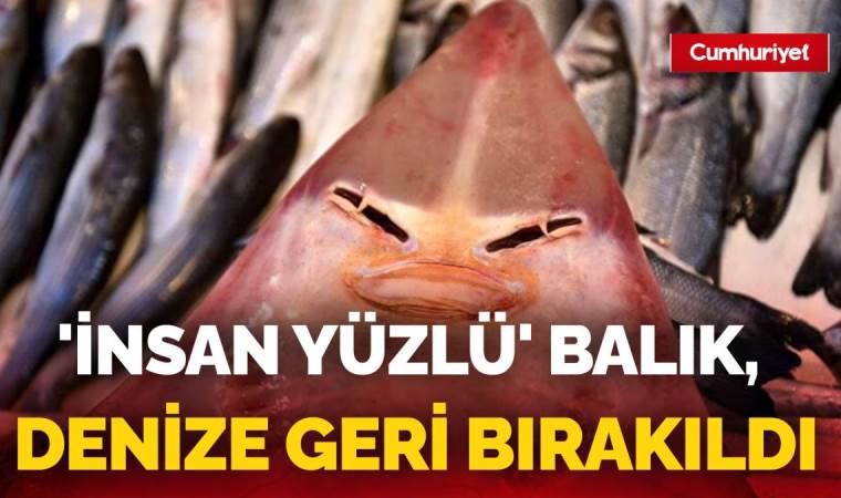 Nesli azalan tür olan ‘insan yüzlü balık’ ağlara takıldı
