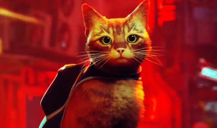 Kedi macerası Stray Mac’lere geliyor; işte geleceği tarih