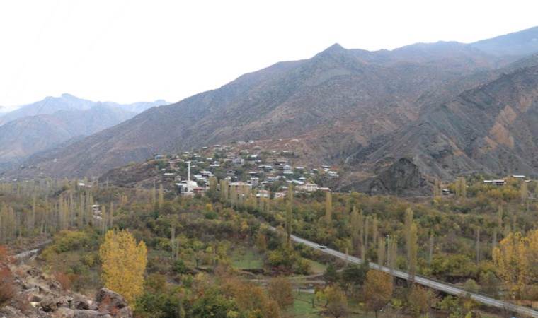 ‘Erzurum’da yetişmez’ dediler, şimdi geçim kaynağı oldu: 3 fidan 2 bin ağaca ulaştı