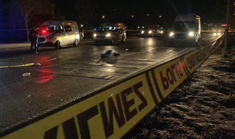 Karşıdan karşıya geçenlerin arasına daldı: Çok sayıda ölü!