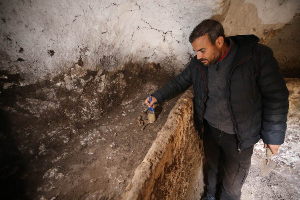 Mardin'deki kazılarda 1500 yıllık Anadolu leoparı kemikleri bulundu