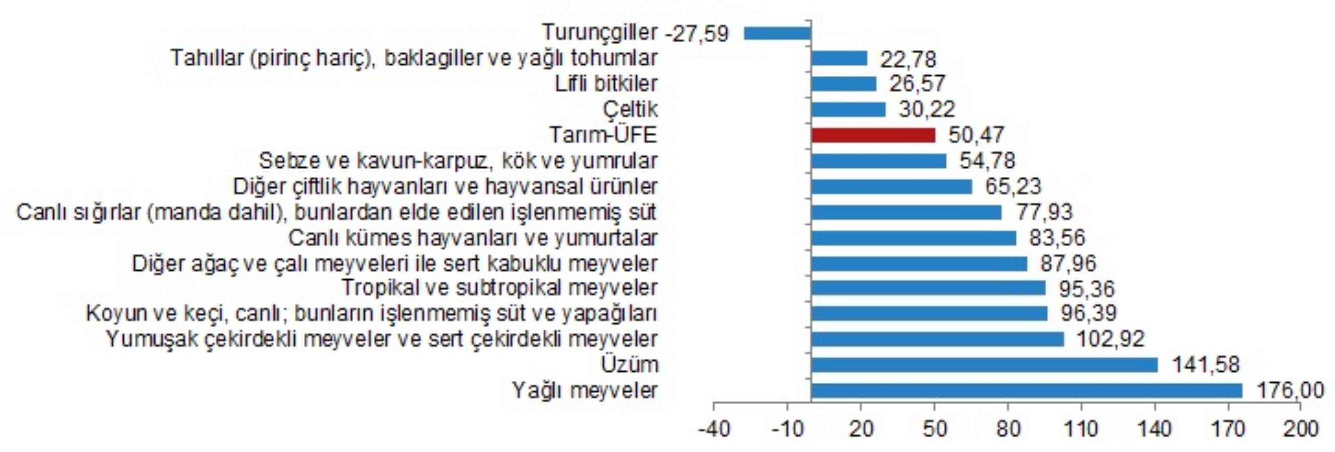 Tarımda üretici enflasyonu yıllık bazda arttı