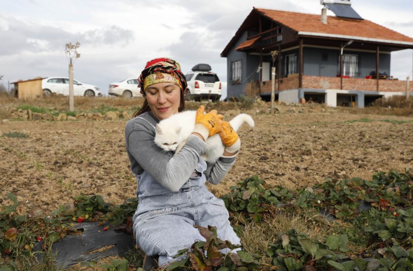 İstanbul'u terk etti,  Samsun'da hiçbir şey bilmeden tarımla uğraşmaya başladı! Şimdi siparişlere yetişemiyor...