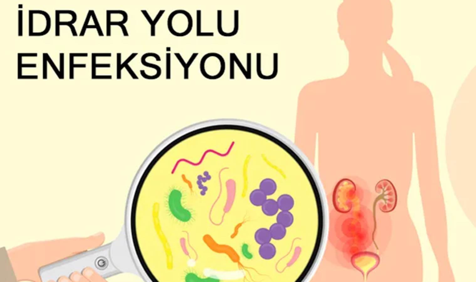 İdrar yolları enfeksiyonu nedir, nasıl geçer? İdrar yolu enfeksiyonuna ne iyi gelir? Evde doğal yollarla idrar yolu iltihabına çözüm üretilir mi?