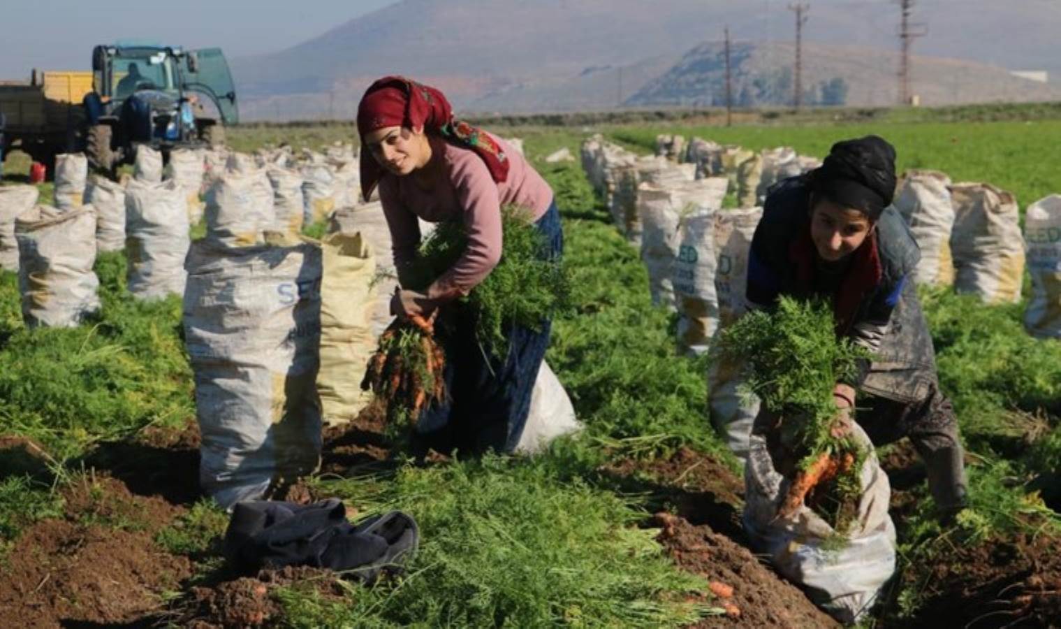 Enkaz kentte zorlu hasat: Tarlada 5, markette 15 TL