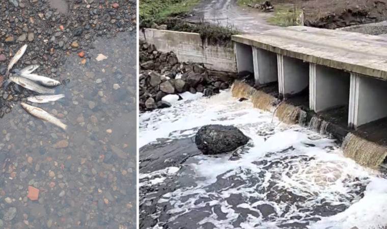 ‘Çöp tesisi doğayı zehirliyor’ iddiası