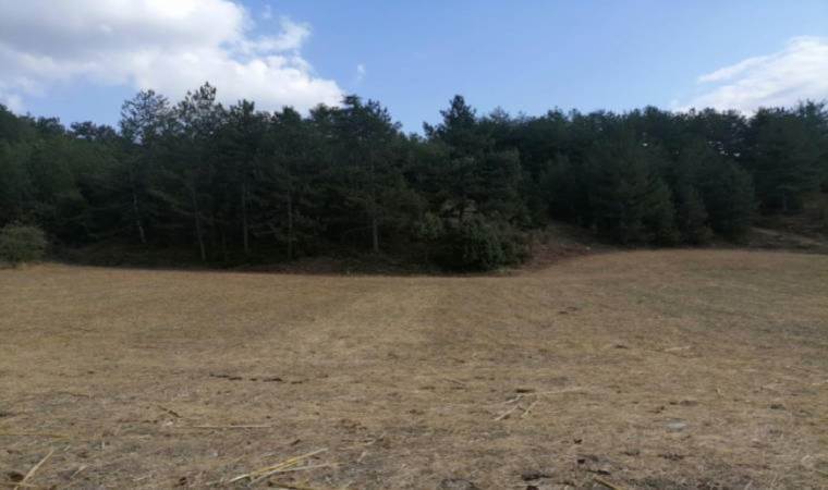 Suya zehir bırakan maden şirketinin yeni ocak başvurusuna yöre halkı tepkili: İnsan hayatı hiçe sayılıyor