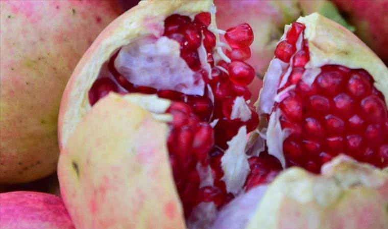 Nar kırma ritüeli nedir, nasıl yapılır? Nar kırma ritüelini kimler yapar? Türk tarihindeki yeri ne?