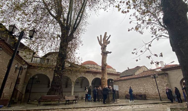 Kuruyan 350 yıllık ağacı heykele dönüştürdüler