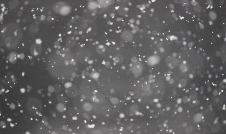 Yıllar geçmesine rağmen ‘kar aslında gerçek değil’ teorisi