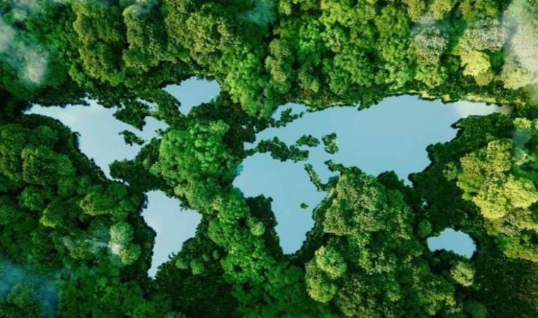 Biyoçeşitlilik Zirvesi 2024’te Kolombiya’da yapılacak