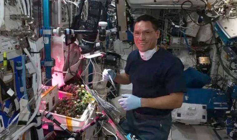 Uzaydaki ‘kayıp domates skandalı’ sonunda çözüldü