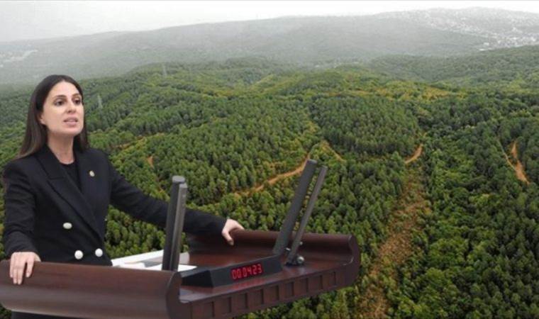 Binlerce dönüm alanın orman arazisi olmaktan çıkarılması Meclis gündeminde