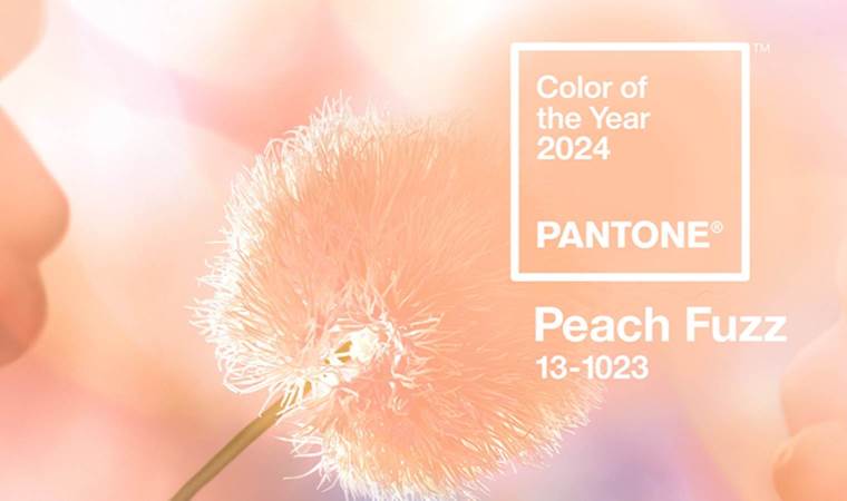 Pantone 2024 yılının rengini seçti: Şeftali tüyü