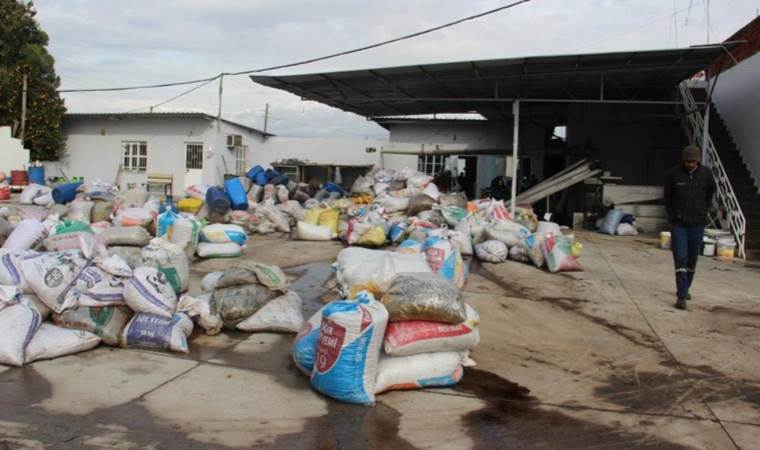 Aydın’da hasat ve sıkım sezonu erkene çekildi: Rekolte düşük