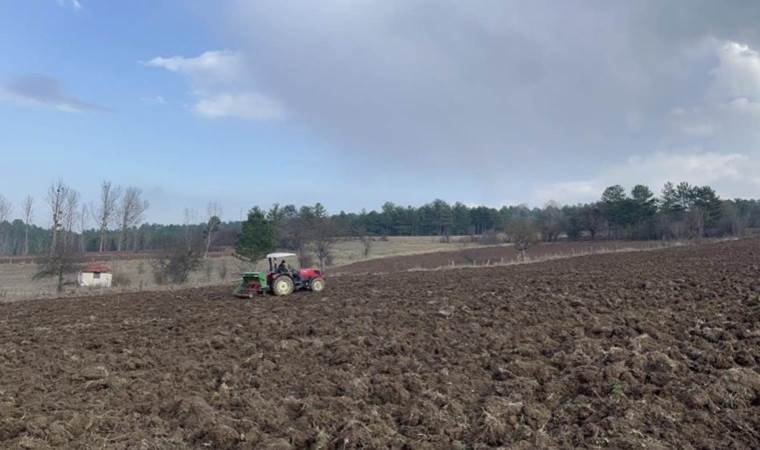 Buğdayların atası… Yoğun talep görüyor, çiftçinin yüzü gülüyor! 12 bin yıllık hazine…