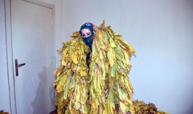 Muş’ta hasat bitti, kurutma başladı! Köyün en büyük geçim kaynağı…