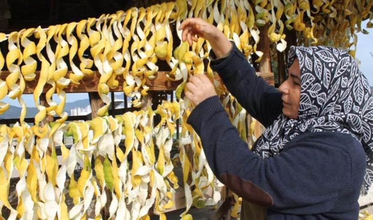 Kendisi 30 kuruş, kabuğu 17 lira! Kabuğu kendinden daha değerli