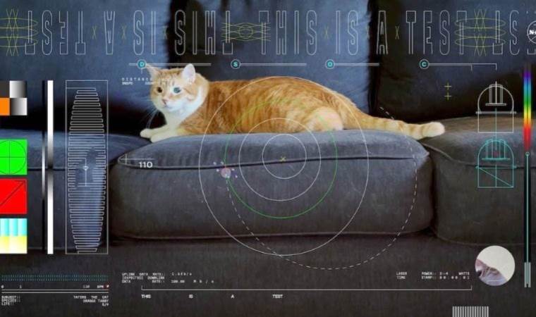 NASA, Dünya ile Ay arasındaki mesafenin 8 katı uzaklıktan kedi videosu gönderdi