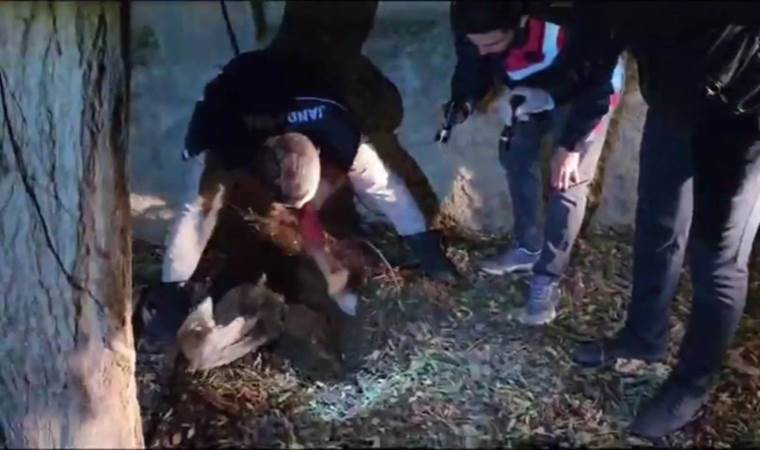 Şanlıurfa’da toprağa gömülü silahlar bulundu