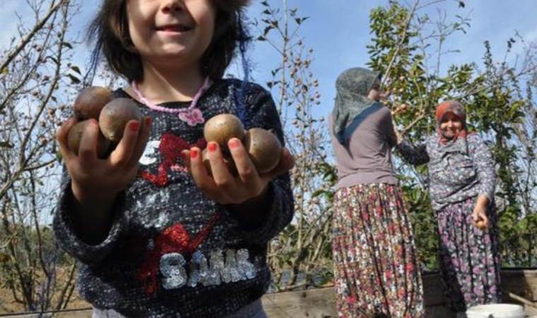 Yumuşaması için depolarda bekletiliyordu…. Pazara inmesi ile yok sattı! Kilosu 25 TL…