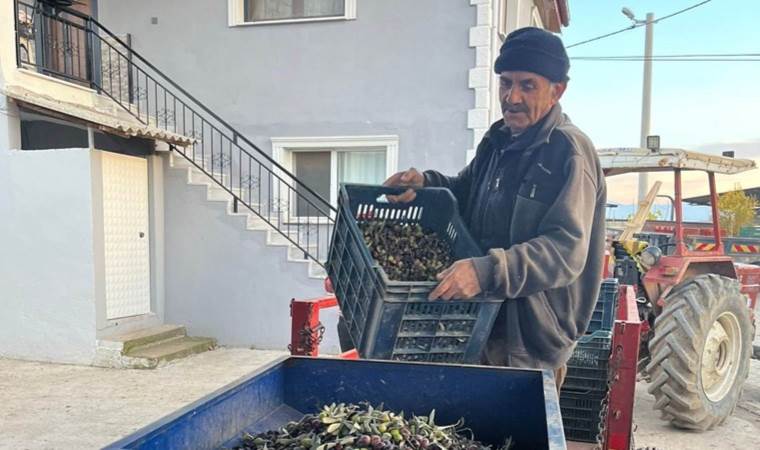 Salihli’de hasatta sona gelindi: Rekolte üzdü, fiyatlar sevindirdi