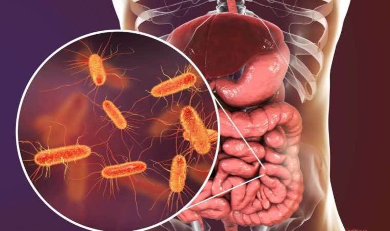 Birçok hastalığa davetiye çıkarıyor: ‘Güçlü ve dengeli bağışıklık sistemi için dengeli bağırsak florası şart’