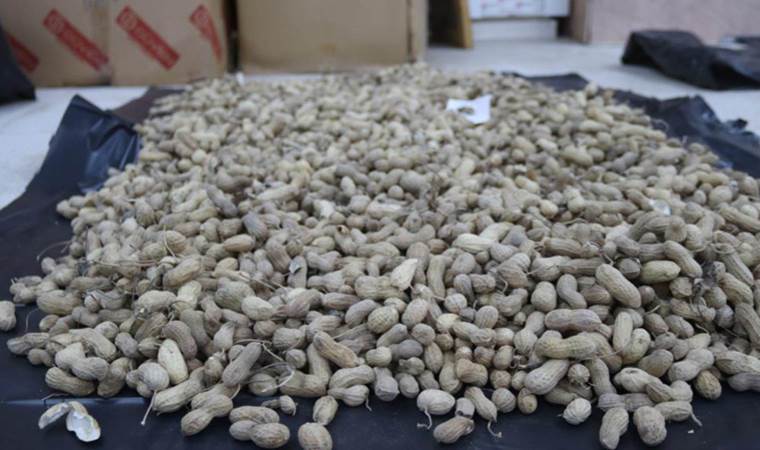 Iğdır Üniversitesi’nden bir ilk: Tarım ürünleri kozmetik ürünlere dönüştürülüyor