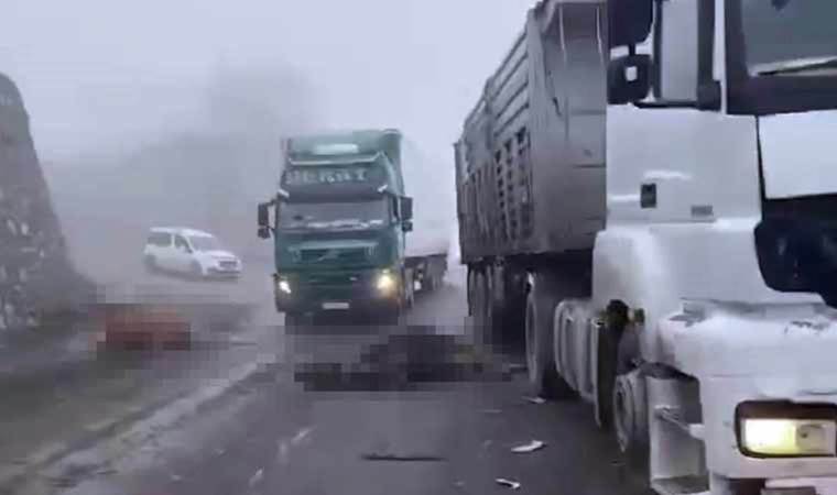 Diyarbakır’da TIR’ın çarptığı sürüdeki 7 inek öldü