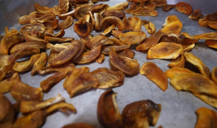 Sobanın yanında kurutuyorlar, kilosunu 400 liradan satıyorlar