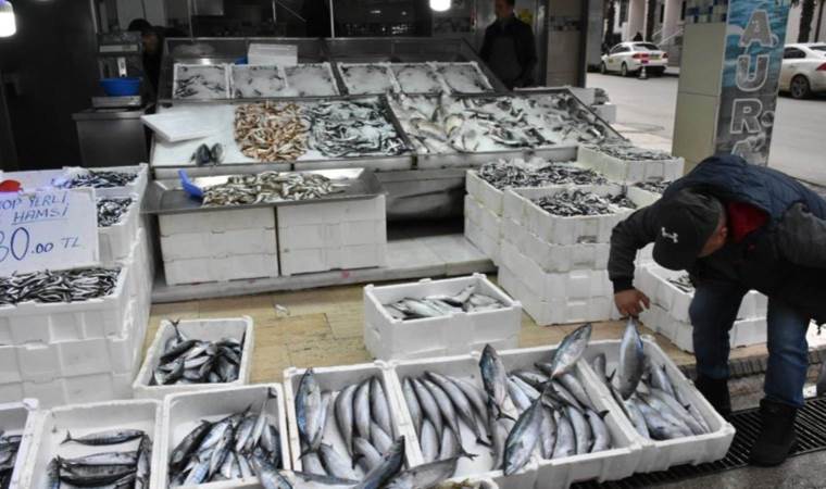 Palamut tezgaha ‘pahalı’ geldi: Tanesi 200 TL’yi buldu