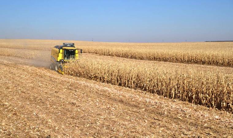 Babaeski’de ekildi dönümde bin 700 kilogram verim