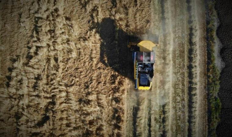 Tarım başkenti: 1 milyon 89 bin dekar üretim alanıyla Türkiye’de ilk sırada