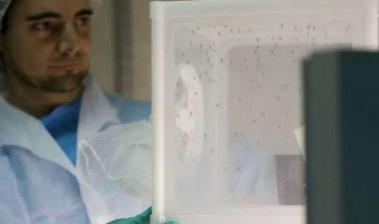 İkinci sıtma aşısı DSÖ’nün ön yeterlilik sürecinden geçti