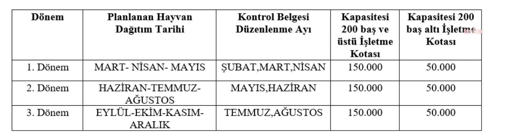 Kırmızı et fiyatları kontrolden çıktı: Bakanlığın çaresi yine sığır ithalatı oldu!