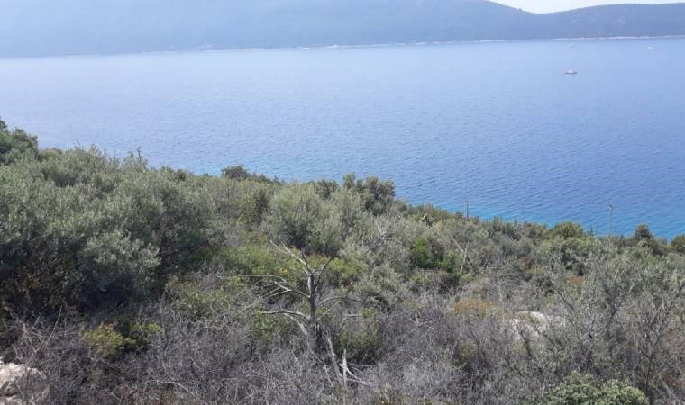 Otel uğruna doğa talanı